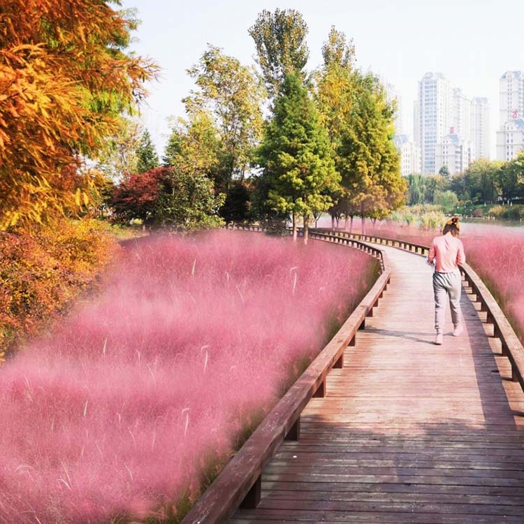 高新區廖河公園